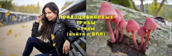 соль ск Зерноград