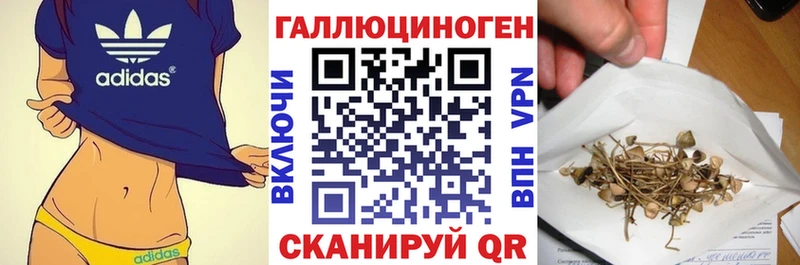 где купить наркоту Конаково сайты даркнета какой сайт Псилоцибиновые грибы Cubensis