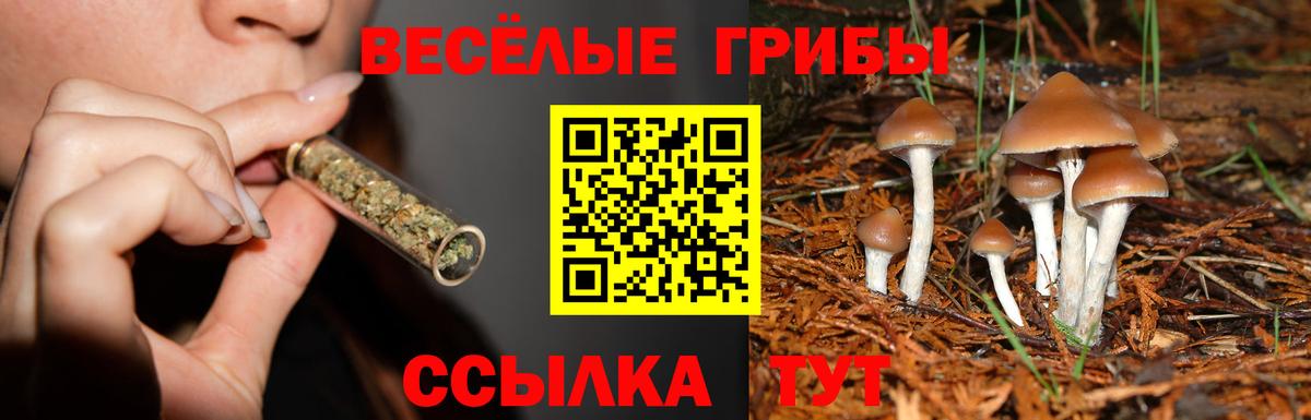 Псилоцибиновые грибы Psilocybine cubensis  Вход с VPN  купить наркотик  Конаково 